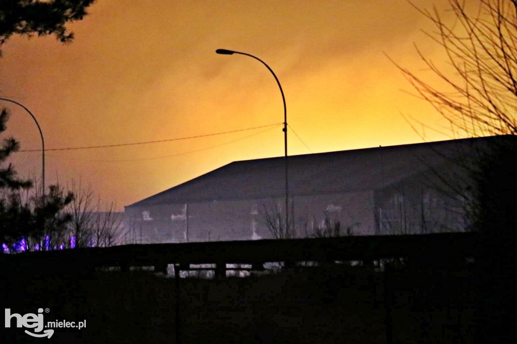 Pożar szklarni przy ul. Traugutta
