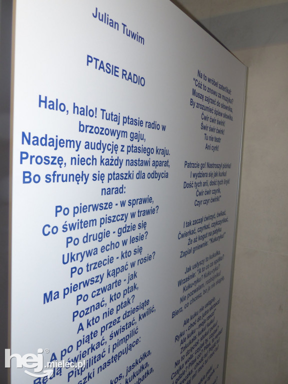 Wnętrze nowej biblioteki