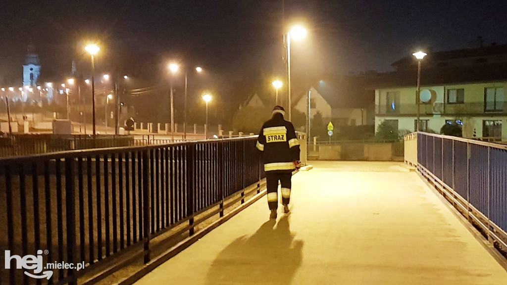 Akcja poszukiwawcza nad Wisłoką