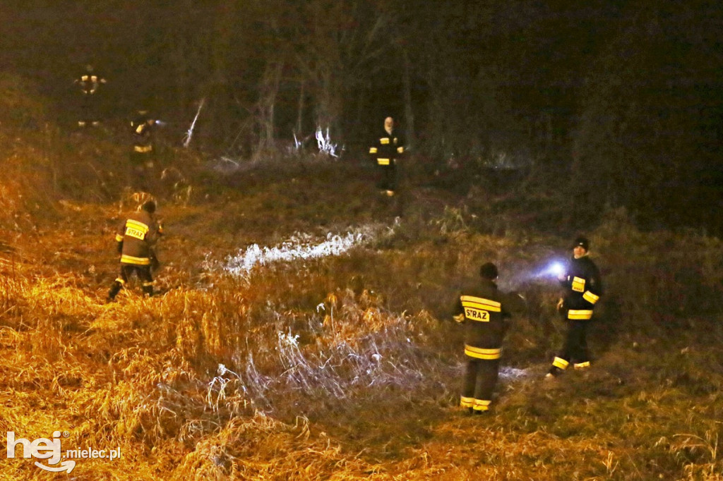 Akcja poszukiwawcza nad Wisłoką