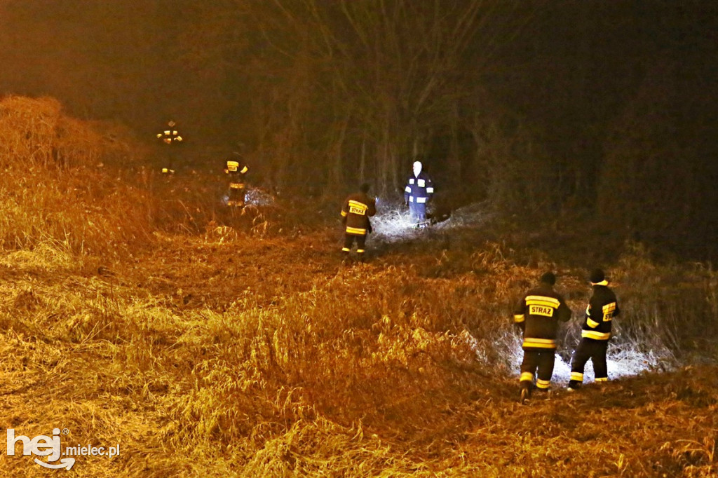 Akcja poszukiwawcza nad Wisłoką