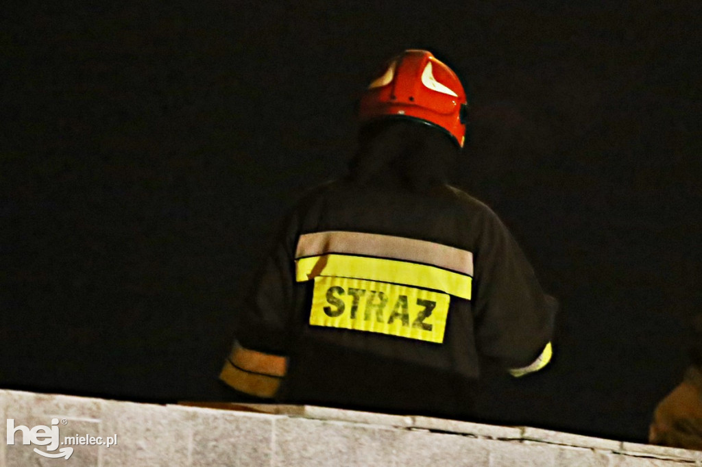 Akcja poszukiwawcza nad Wisłoką