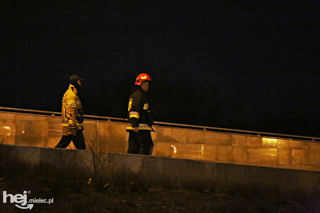 Akcja poszukiwawcza nad Wisłoką