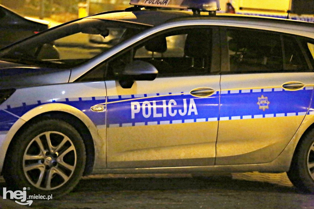 Akcja poszukiwawcza nad Wisłoką