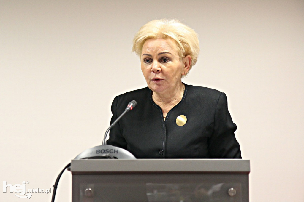 Sesja Rady Powiatu. Temat: szpital