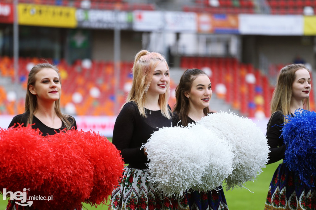 Podbeskidzie Bielsko-Biała - PGE FKS Stal Mielec