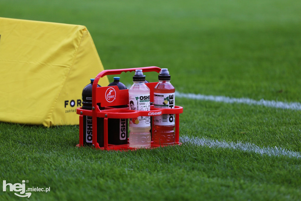 Podbeskidzie Bielsko-Biała - PGE FKS Stal Mielec