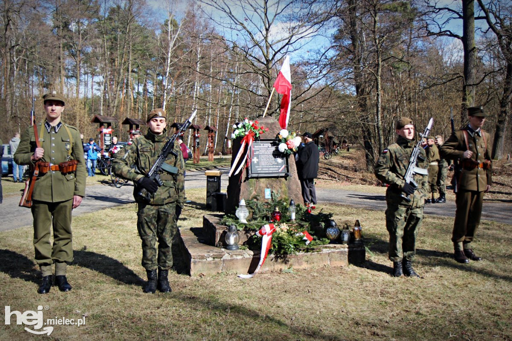 Dęby Kasznicy i Rydzowskiego