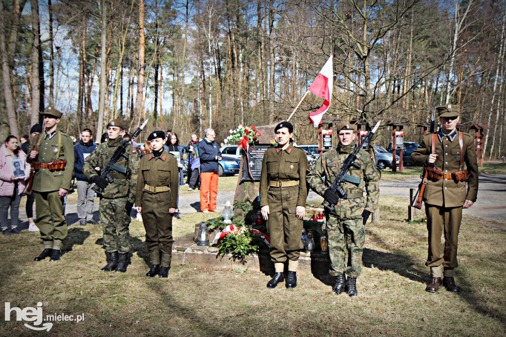 Dęby Kasznicy i Rydzowskiego
