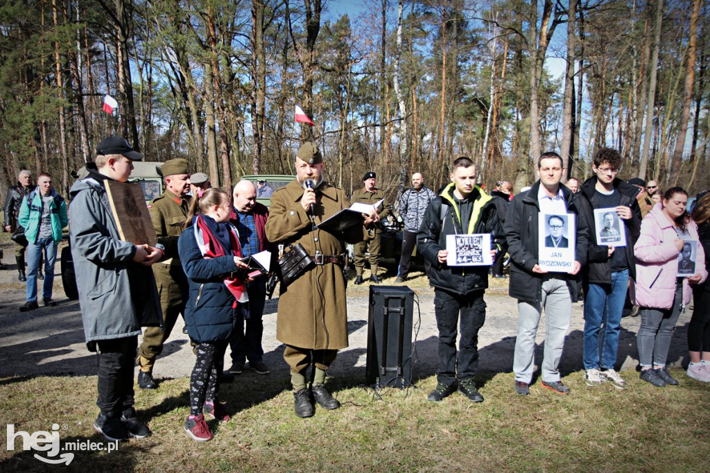 Dęby Kasznicy i Rydzowskiego
