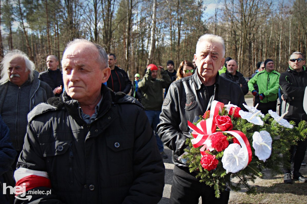Dęby Kasznicy i Rydzowskiego