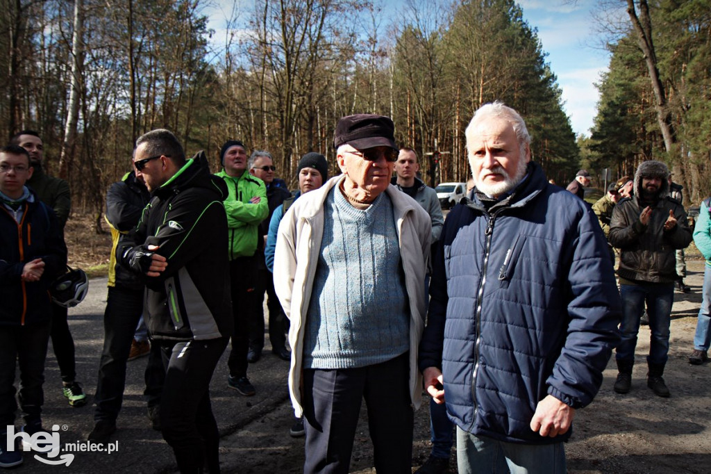 Dęby Kasznicy i Rydzowskiego