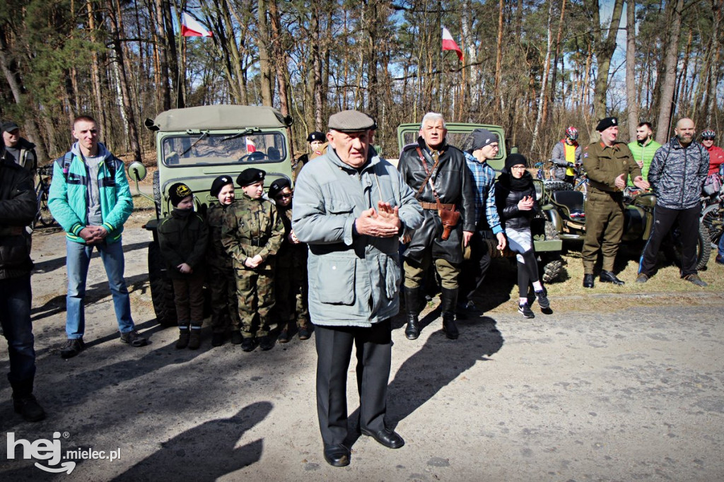 Dęby Kasznicy i Rydzowskiego