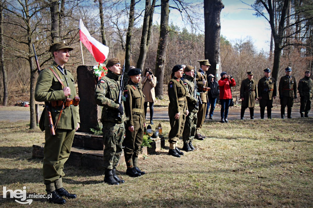 Dęby Kasznicy i Rydzowskiego