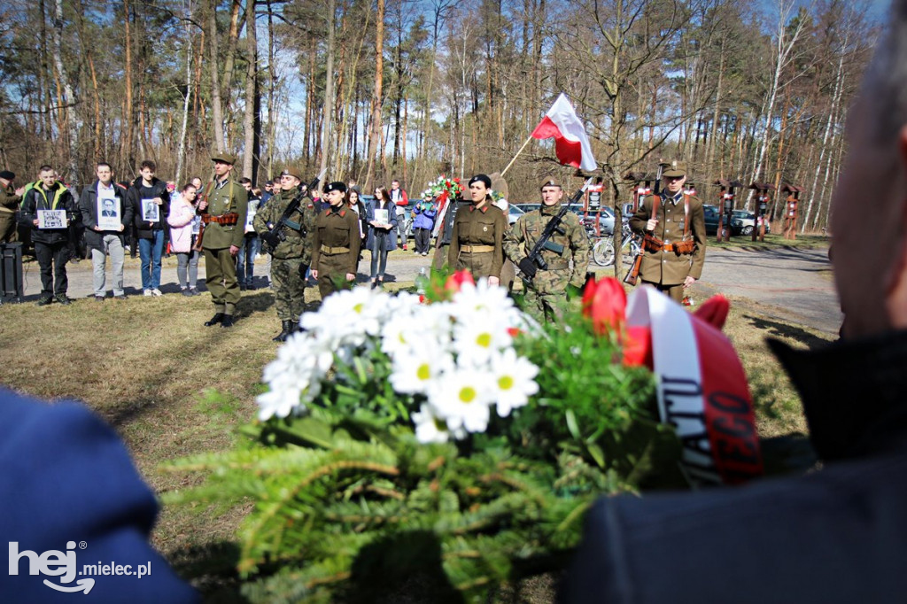 Dęby Kasznicy i Rydzowskiego