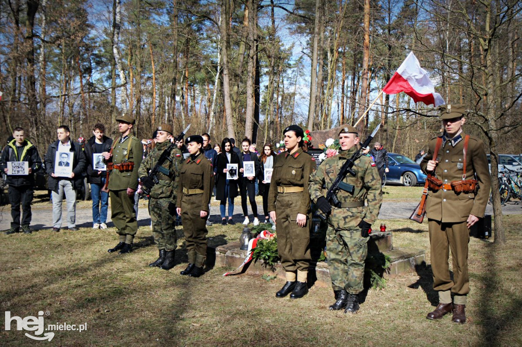 Dęby Kasznicy i Rydzowskiego