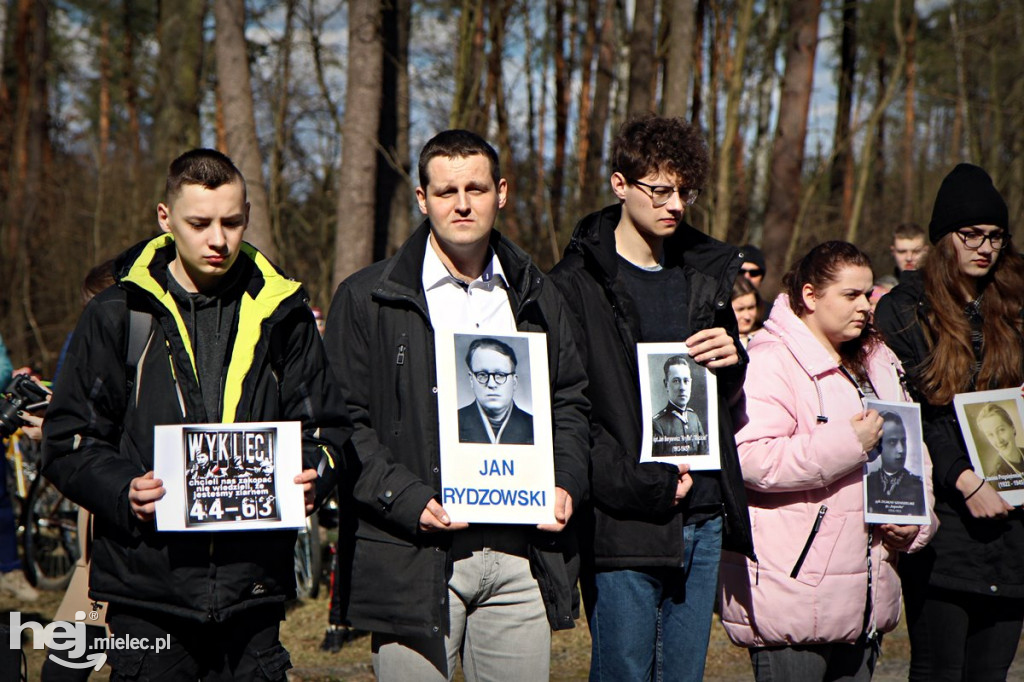 Dęby Kasznicy i Rydzowskiego