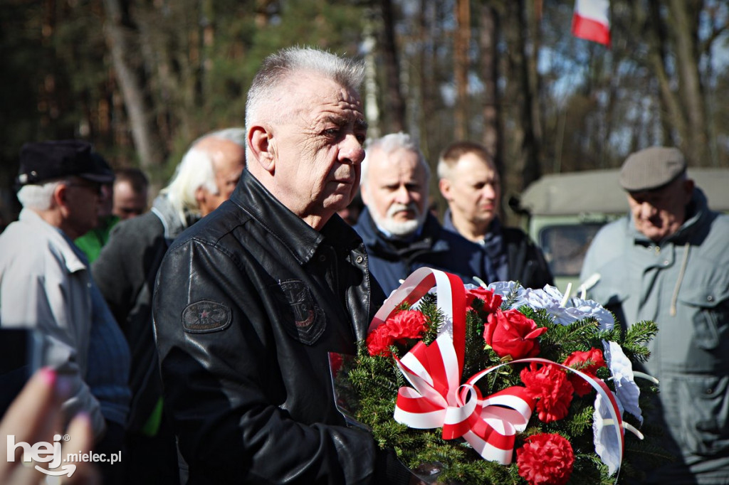 Dęby Kasznicy i Rydzowskiego