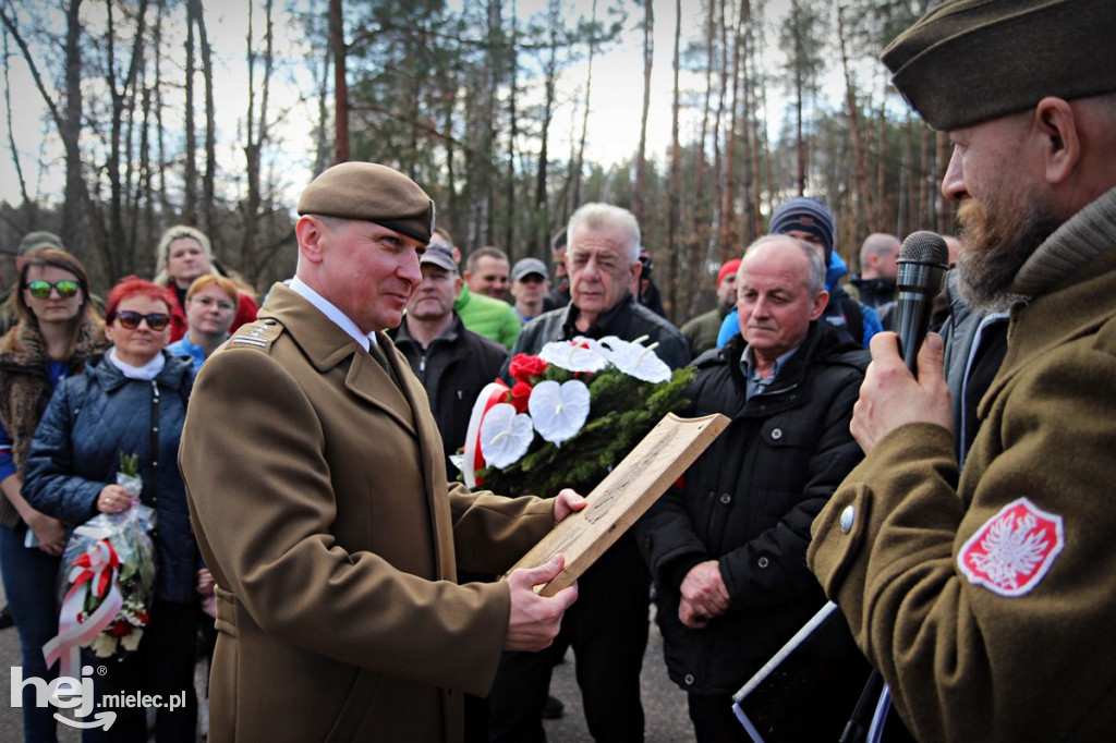 Dęby Kasznicy i Rydzowskiego