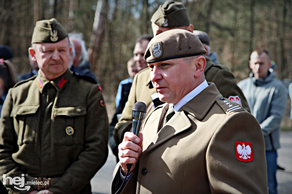 Dęby Kasznicy i Rydzowskiego