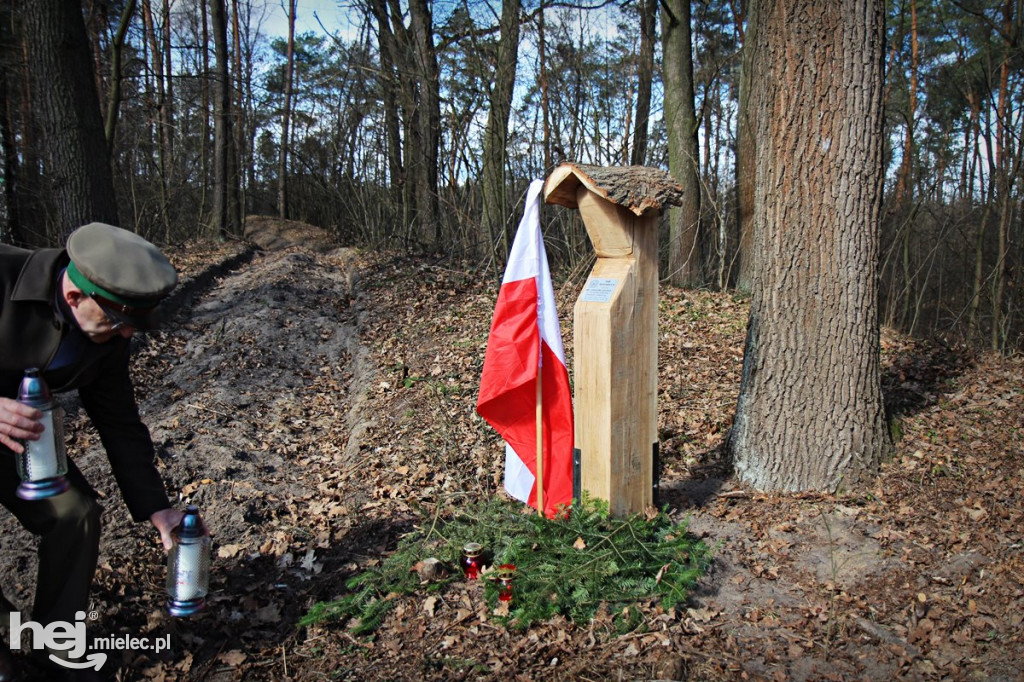 Dęby Kasznicy i Rydzowskiego
