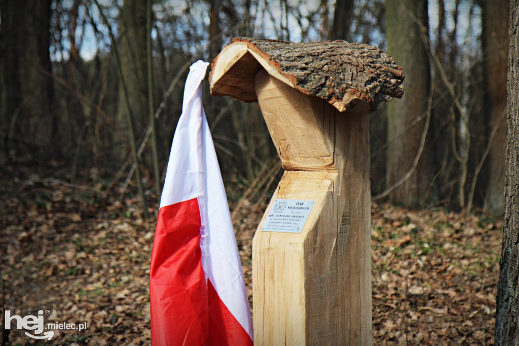 Dęby Kasznicy i Rydzowskiego