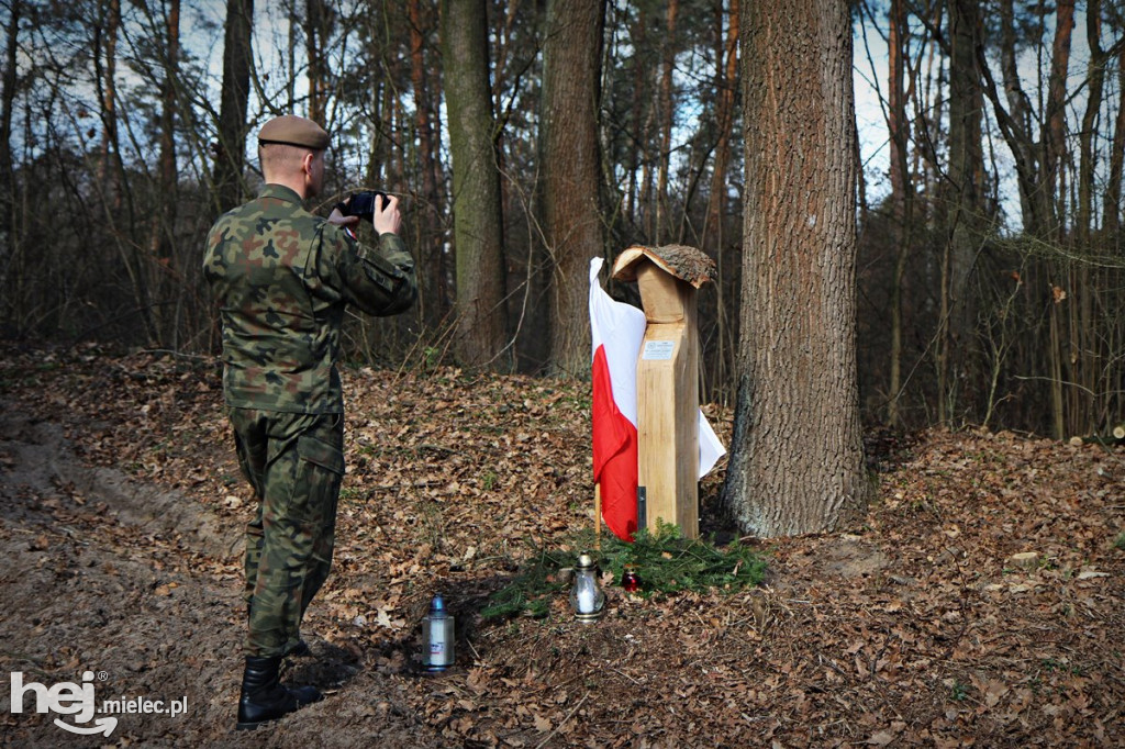 Dęby Kasznicy i Rydzowskiego