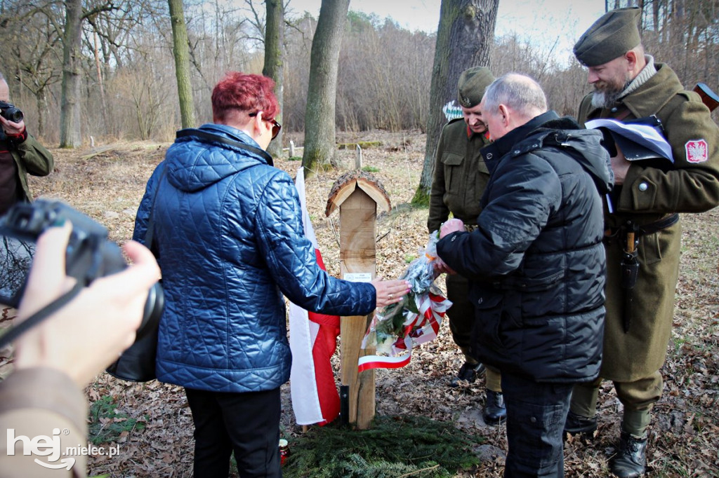 Dęby Kasznicy i Rydzowskiego