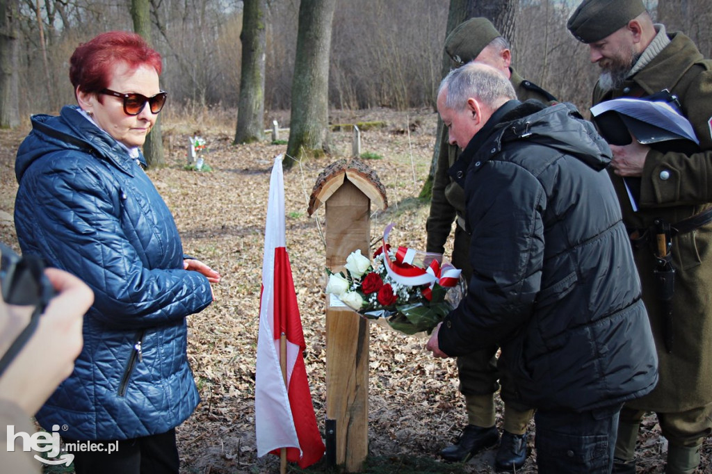 Dęby Kasznicy i Rydzowskiego