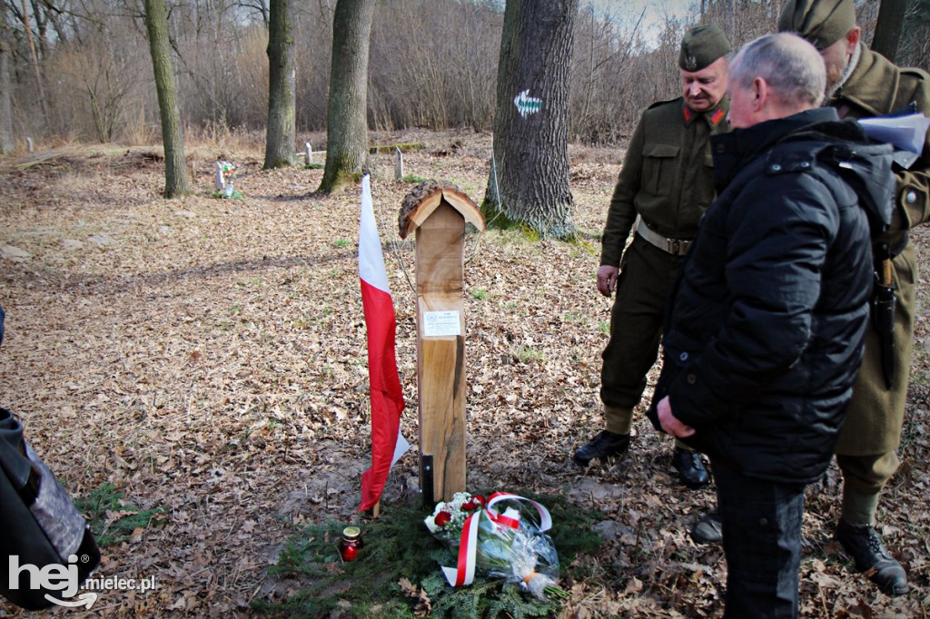 Dęby Kasznicy i Rydzowskiego