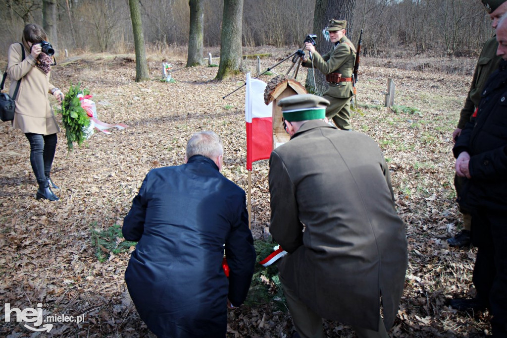 Dęby Kasznicy i Rydzowskiego