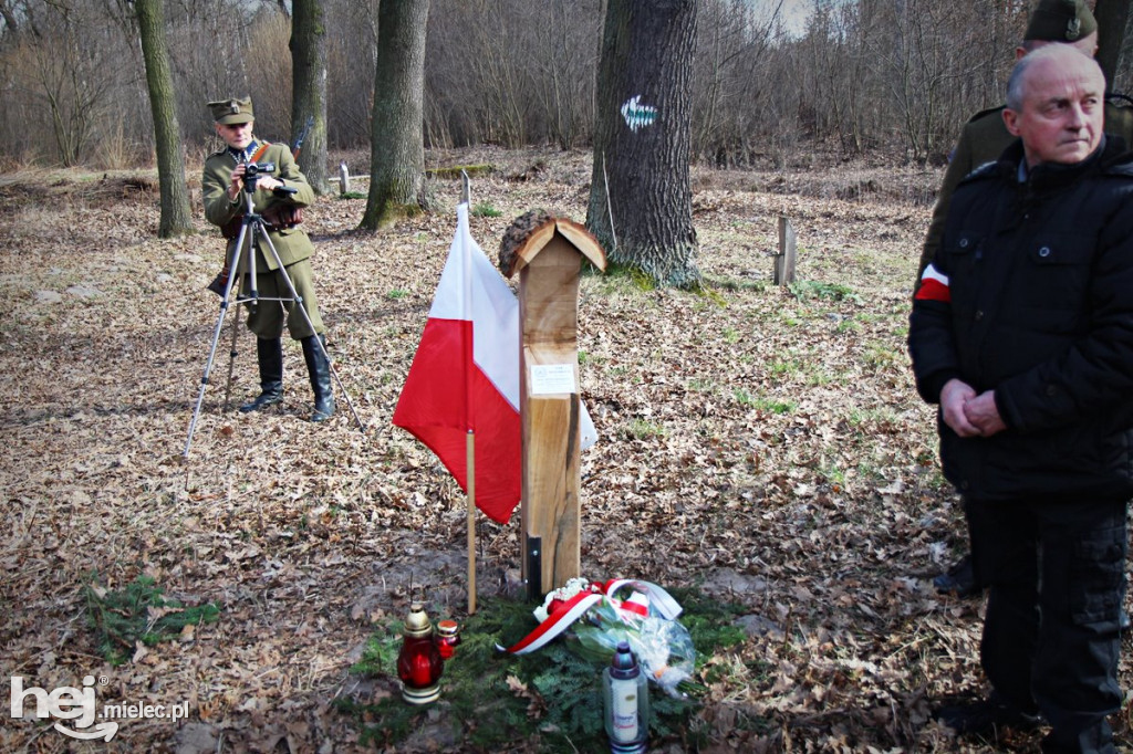 Dęby Kasznicy i Rydzowskiego