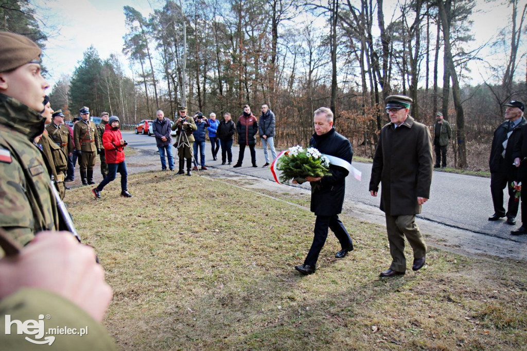 Dęby Kasznicy i Rydzowskiego