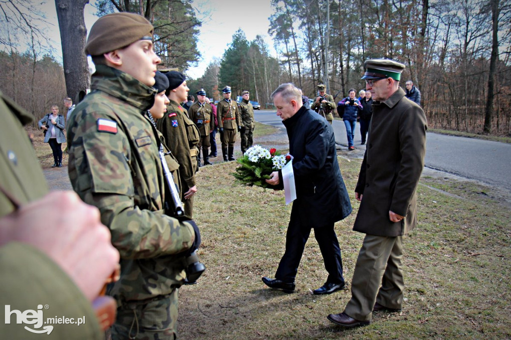 Dęby Kasznicy i Rydzowskiego