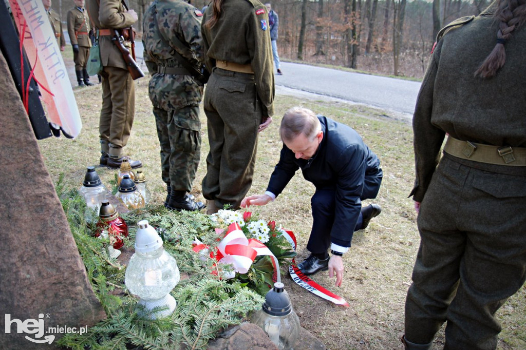 Dęby Kasznicy i Rydzowskiego