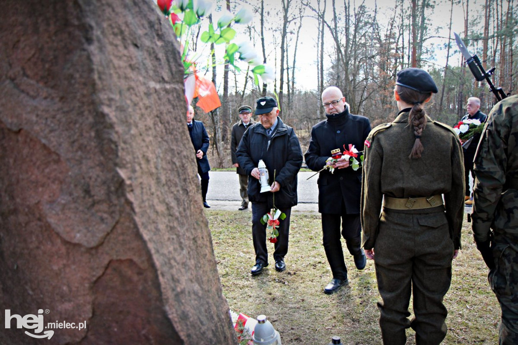 Dęby Kasznicy i Rydzowskiego