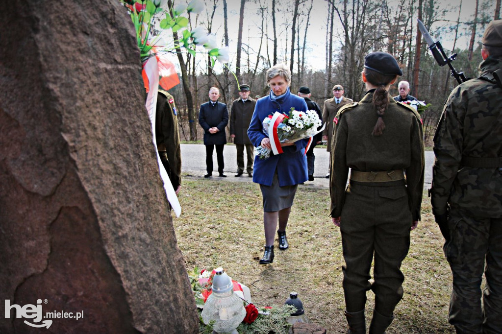 Dęby Kasznicy i Rydzowskiego