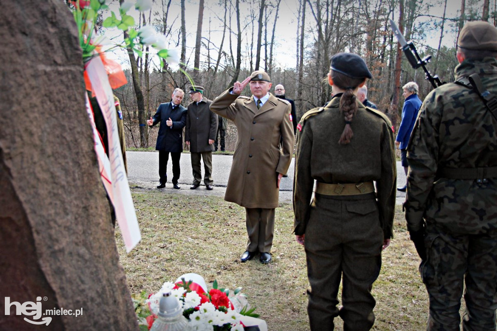 Dęby Kasznicy i Rydzowskiego