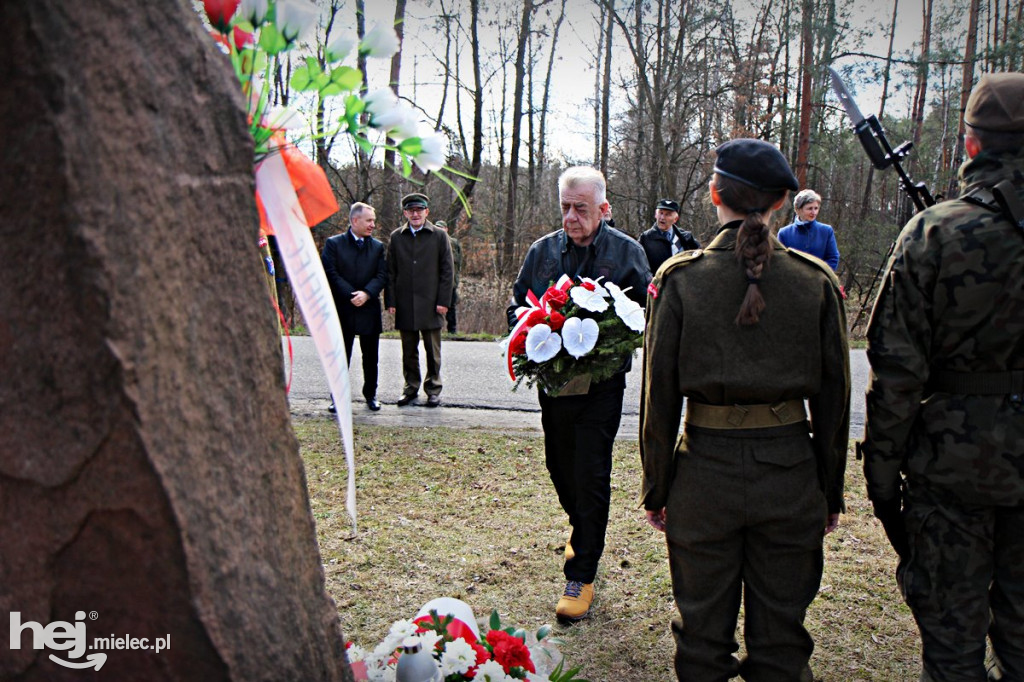 Dęby Kasznicy i Rydzowskiego