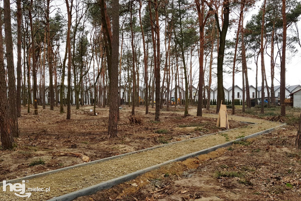 Budowa nowego parku na Smoczce