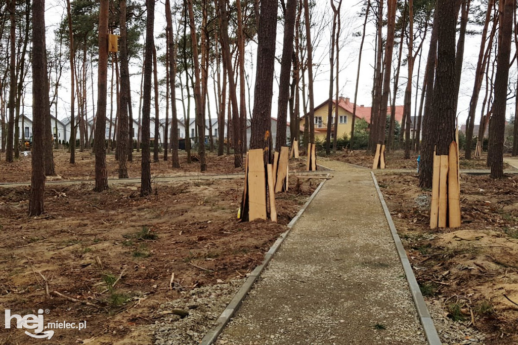 Budowa nowego parku na Smoczce