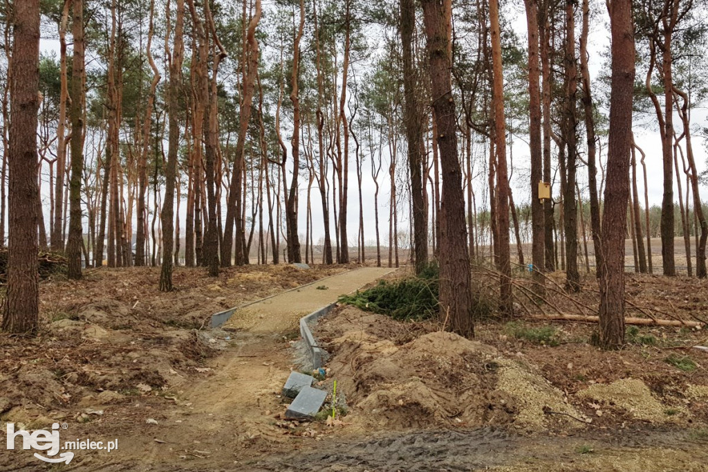Budowa nowego parku na Smoczce