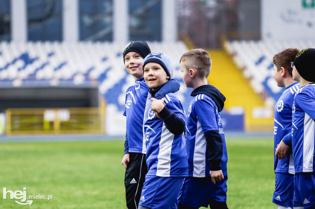 PGE FKS Stal Mielec - Cracovia