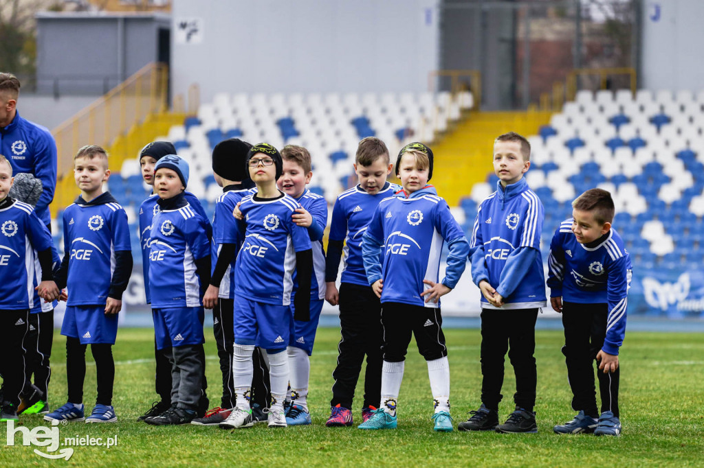 PGE FKS Stal Mielec - Cracovia