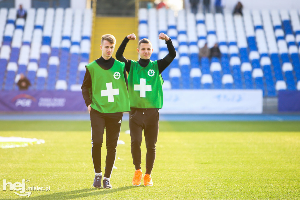 PGE FKS Stal Mielec - Sandecja