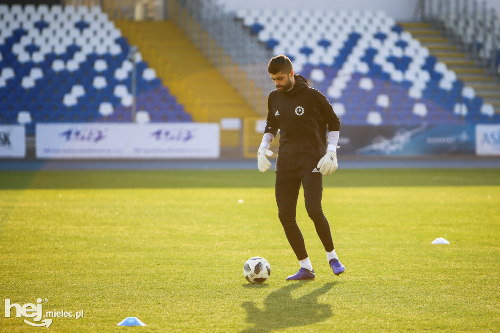 PGE FKS Stal Mielec - Sandecja