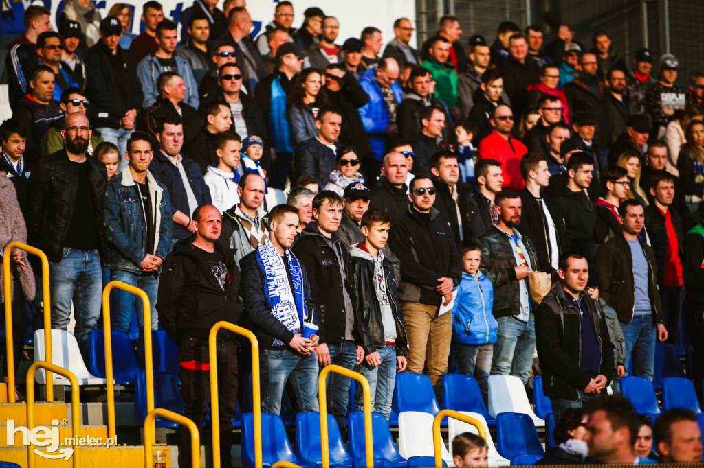 PGE FKS Stal Mielec - Sandecja