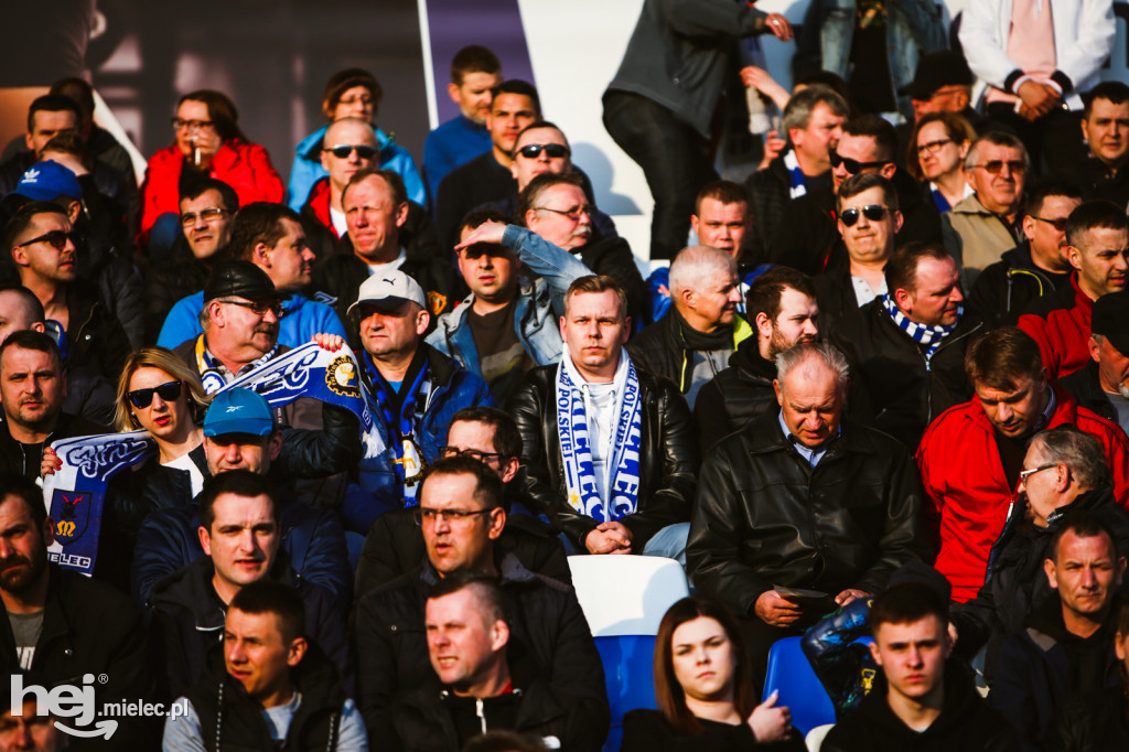 PGE FKS Stal Mielec - Sandecja