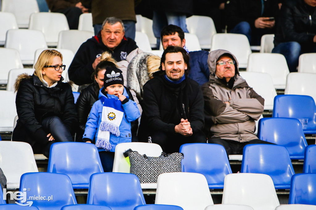 PGE FKS Stal Mielec - Sandecja