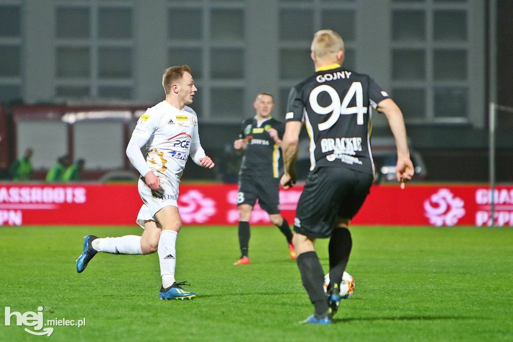 GKS Jastrzębie - PGE FKS STAL MIELEC